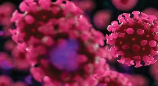 Coronavírus: Boletim Epidemiológico desta quarta, 09 de setembro