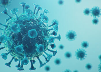 Coronavírus: Boletim Epidemiológico desta terça, 15 de setembro