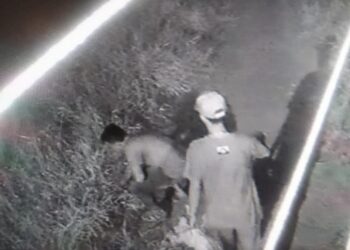 Polícia Civil identifica dupla suspeita de incêndios em vegetação