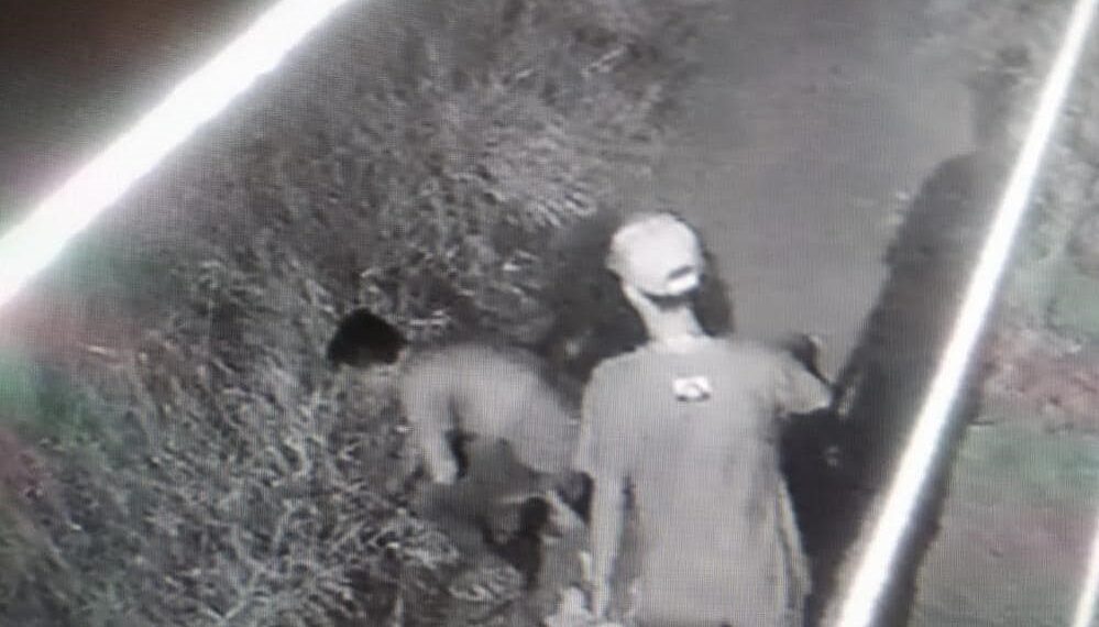 Polícia Civil identifica dupla suspeita de incêndios em vegetação