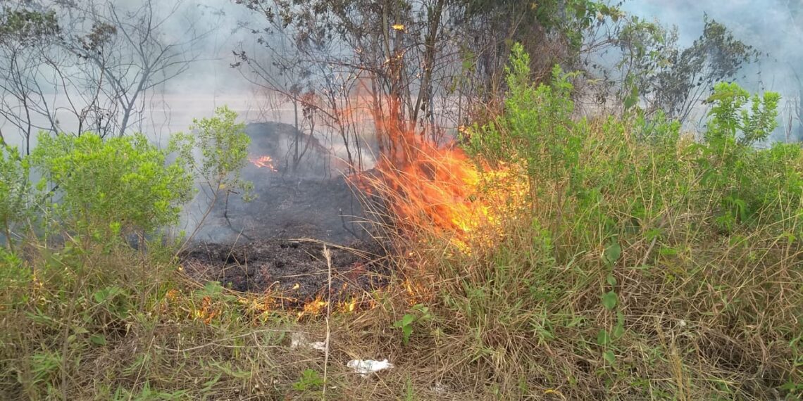 Bombeiros combatem incêndio próximo a PRF