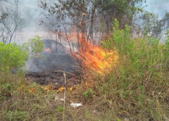 Bombeiros combatem incêndio próximo a PRF