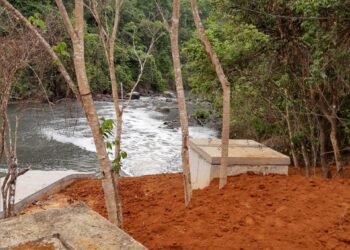 DMAE esclarece que mortandade de peixes é pequena e não tem relação com a ETE 1