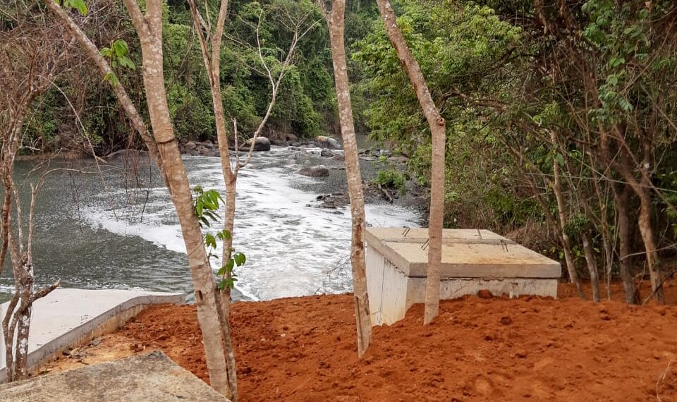 DMAE esclarece que mortandade de peixes é pequena e não tem relação com a ETE 1
