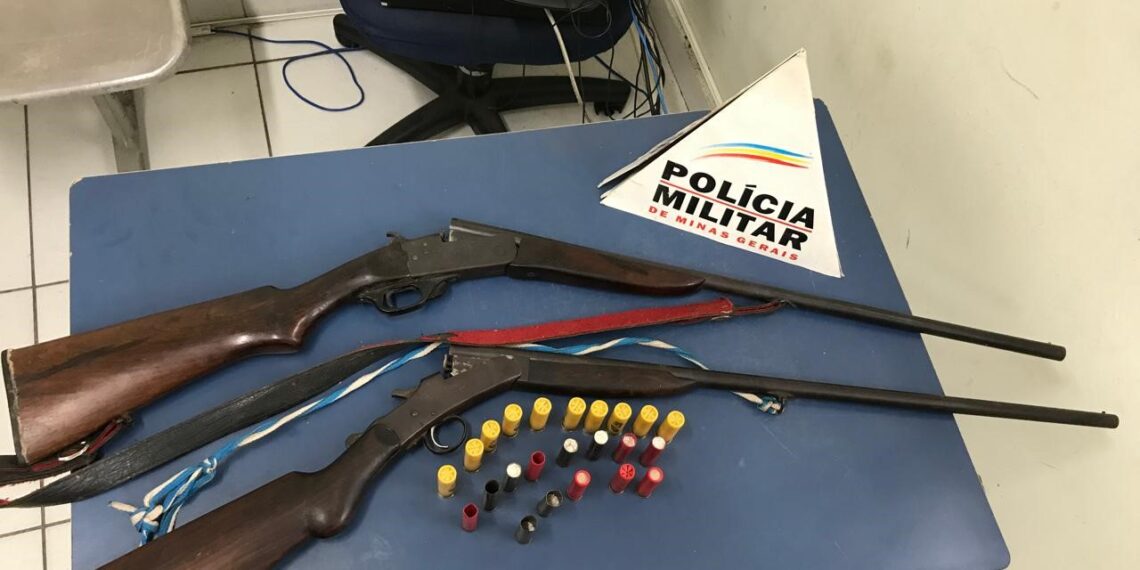 Armas e pássaros são apreendidos em Caldas