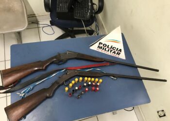 Armas e pássaros são apreendidos em Caldas