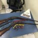 Armas e pássaros são apreendidos em Caldas