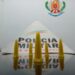 PM apreende drogas em Divisa Nova