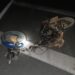 Motociclista fica gravemente ferido em acidente em Caldas