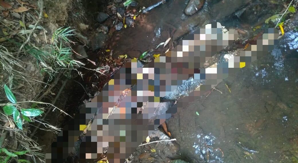 Ossada humana é encontrada na zona rural em Poços de Caldas