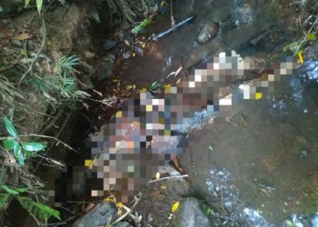 Ossada humana é encontrada na zona rural em Poços de Caldas