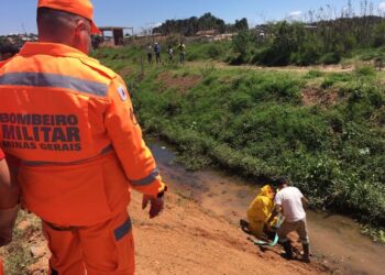 Cavalo atolado em brejo é resgatado pelos bombeiros em Poços de Caldas