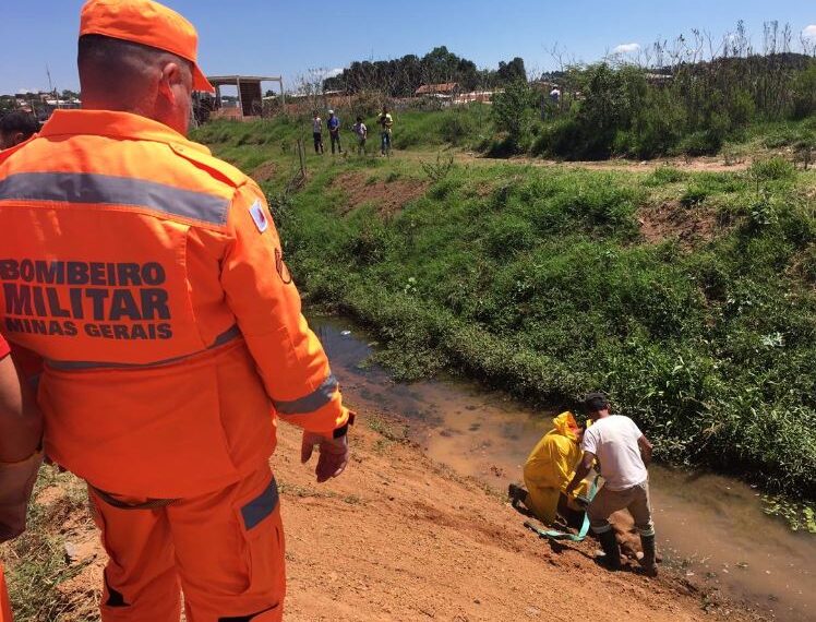 Cavalo atolado em brejo é resgatado pelos bombeiros em Poços de Caldas
