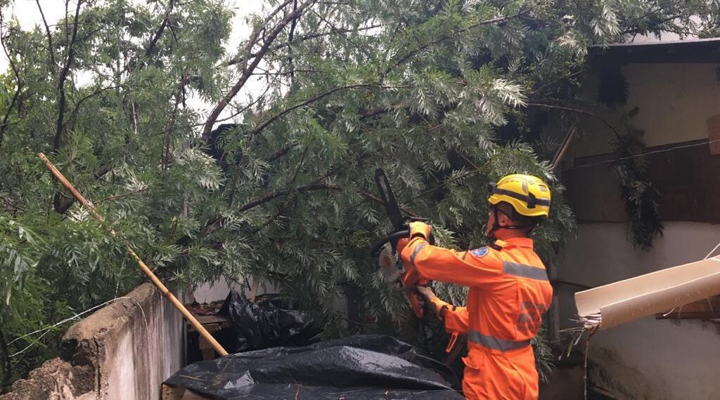 Forte chuva provoca queda de sete árvores em Poços de Caldas