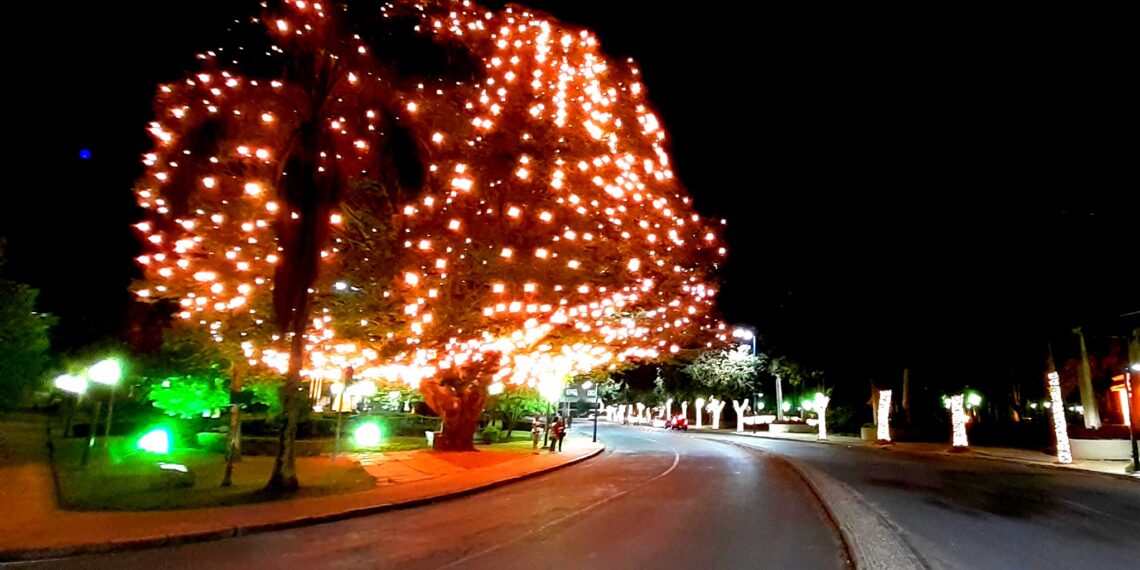 Luzes de Natal em Poços são acesas; confira alguns registros da Onda