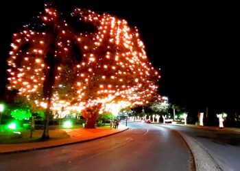 Luzes de Natal em Poços são acesas; confira alguns registros da Onda