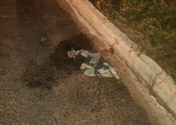 Homem fica gravemente ferido após ser  atropelado na BR 146