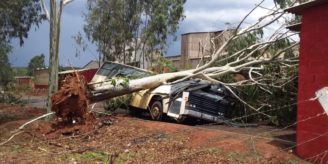 Forte chuva causa estragos em Alfenas