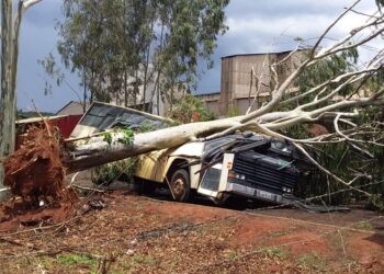 Forte chuva causa estragos em Alfenas