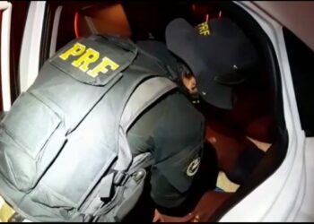 PRF de Poços detém três suspeitos e resgata sete galos de rinha