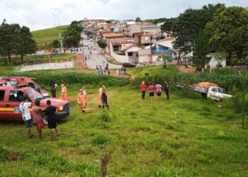 Motorista perde controle de caminhão de mudança e cai em brejo