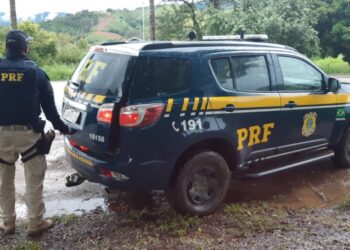 Foragida da Justiça é presa pela segunda vez em cinco meses pela PRF