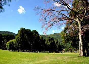 Parques públicos de Poços de Caldas serão reabertos neste sábado