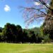Parques públicos de Poços de Caldas serão reabertos neste sábado
