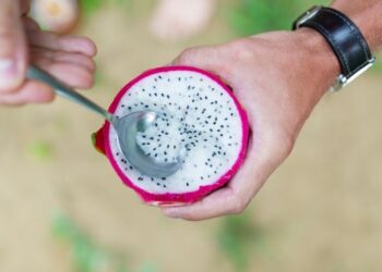 Plantação de pitaia em residência de Poços de Caldas chama a atenção