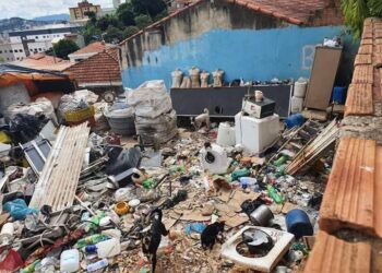 Homem é preso por manter mais de 20 cães em situação de maus tratos