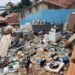Homem é preso por manter mais de 20 cães em situação de maus tratos