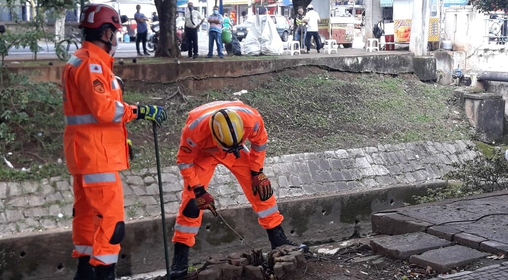 Bombeiros capturam cobra no centro de Poços de Caldas