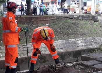 Bombeiros capturam cobra no centro de Poços de Caldas