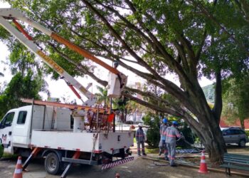 Enfeites de Natal estão sendo retirados em Poços de Caldas