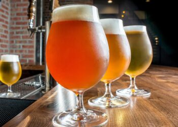 Reunião discute criação de associação de fabricantes de cerveja artesanal em Poços