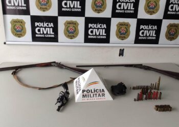Idoso é preso com armas irregulares em Andradas