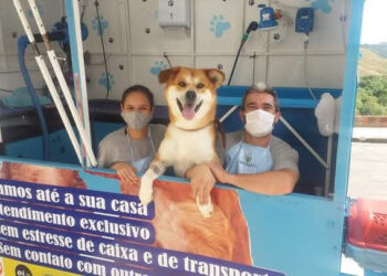 Poços-caldenses se reinventam e fazem sucesso com pet móvel