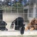 Interessados em integrar o ComVida poderão se inscrever até março