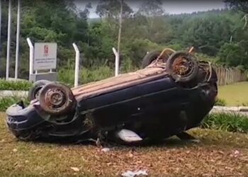 Carro capota após condutora desviar de cachorro