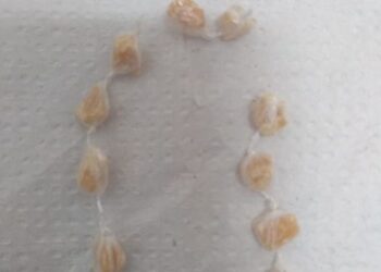 Homem é preso após tentar engolir pedras de crack