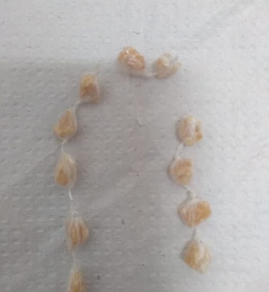 Homem é preso após tentar engolir pedras de crack