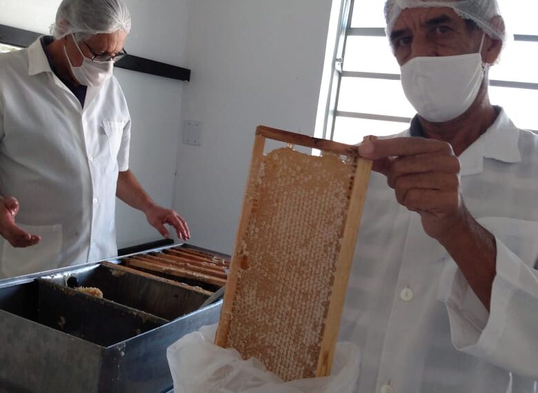 Associação de Apicultores inicia processamento de mel em sede própria