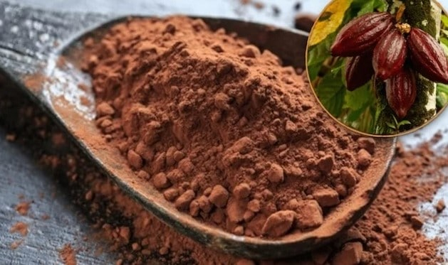 DIA DO CACAU | Nutricionista fala sobre os benefícios do fruto