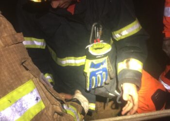 Bombeiros resgatam cavalo atolado em Poços de Caldas