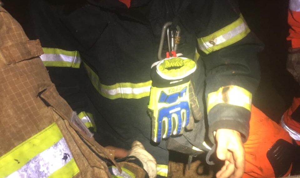 Bombeiros resgatam cavalo atolado em Poços de Caldas