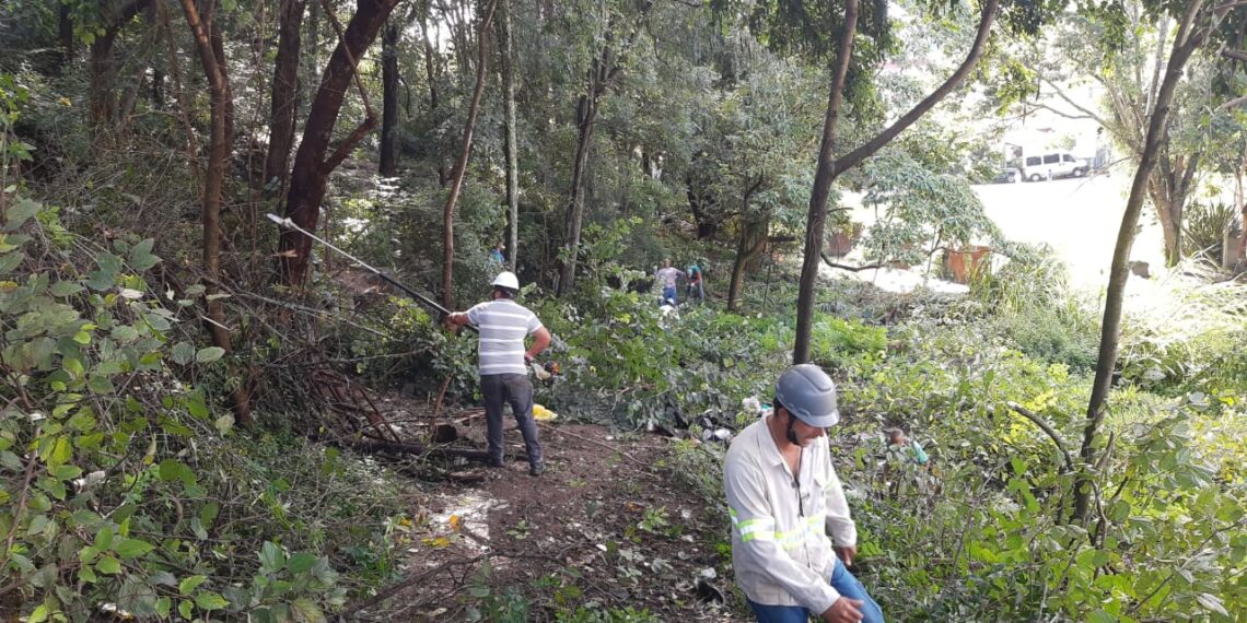 Área de preservação permanente recebe limpeza e poda para coibir o tráfico de drogas