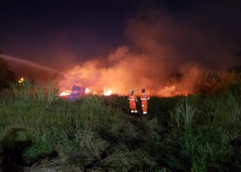 ALFENAS | Corpo de Bombeiros combate fogo em lote vago de 5 mil metros quadrados