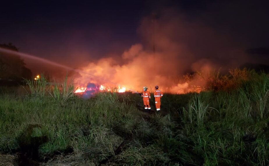 ALFENAS | Corpo de Bombeiros combate fogo em lote vago de 5 mil metros quadrados