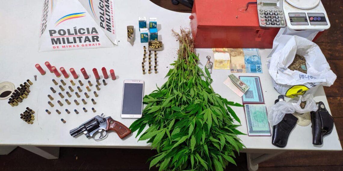 PM apreende arma e 49 pés de maconha em Campestre
