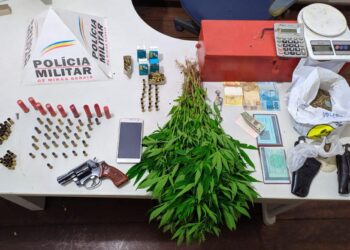 PM apreende arma e 49 pés de maconha em Campestre